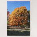Search for michigan puzzles Yooper