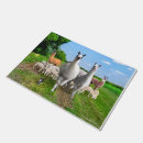 Search for llama doormats Nature