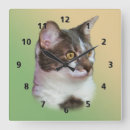 Search for black and white eye art Animals