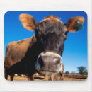 Search for being mouse mats Animal