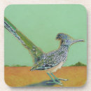 Search for roadrunner Southwest