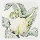 Search for 1993 stickers Vegetable botanical