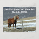 Search for draught postcards Work horse