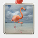 Search for aruba christmas tree decorations Ocean