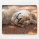 Search for getty mouse mats Funny