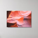 Search for antelopes canvas prints Desert