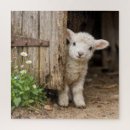 Search for lamb puzzles Sheep