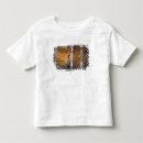 Search for vecchio tshirts Architecture