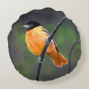 Search for oriole cushions Baltimore