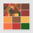 Search for fall colour photography Orange