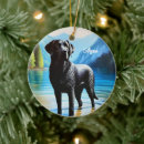 Search for hunting dog christmas tree decorations Cute