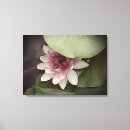Search for lilly art Floral