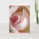 Search for rosebud Petals
