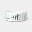 Search for cat supplies Modern