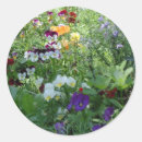 Search for pansies stickers Birthday