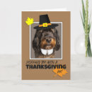 Search for funny dog thanksgiving cards Pilgrim