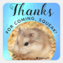 Search for cute hamster stickers Pet
