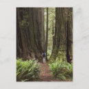 Search for sempervirens Public land