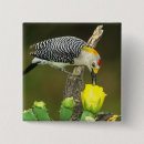 Search for songbird badges Yellow