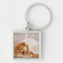 Search for shiba inu key rings Animal