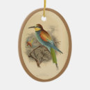Search for european ornament christmas tree decorations Bird