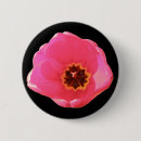 Search for tulip photos badges Pink