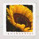 Search for photography thank you cards Stylish