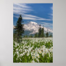 Search for avalanche art Blue