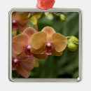 Search for singapore christmas tree decorations Flower