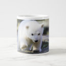 Search for baby polar bear mugs Cute