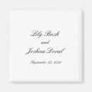 Search for classical magnets Bride