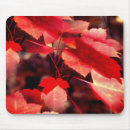 Search for red fall leaves mouse mats Tree