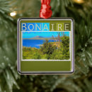 Search for caribbean the christmas tree decorations Watercolor