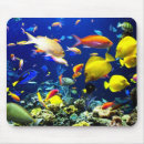 Search for bottom mouse mats Fish