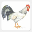 Search for black rooster stickers Hen