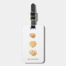 Search for beach shells accessories Modern