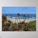 Search for alo posters Photography