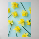 Search for daffodil bulbs posters Plant
