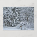 Search for arbor photography Trees