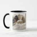 Search for hiding mugs Animal body part