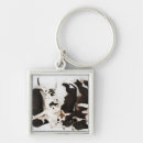 Search for great dane key rings Animal