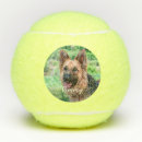 Search for dog tennis balls Animal