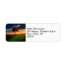 Search for hill return address labels Nature