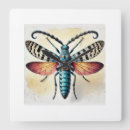 Search for butterfly on black art Animals