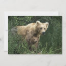 Search for bear river postcards Paw
