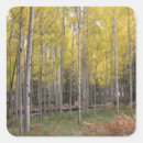 Search for aspen leaves stickers Trees