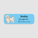 Search for havanese dog Pet