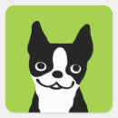 Search for boston terrier dog stickers Canine