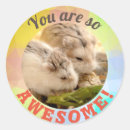 Search for hamster pet stickers Adorable