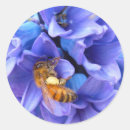 Search for hyacinth stickers Flower